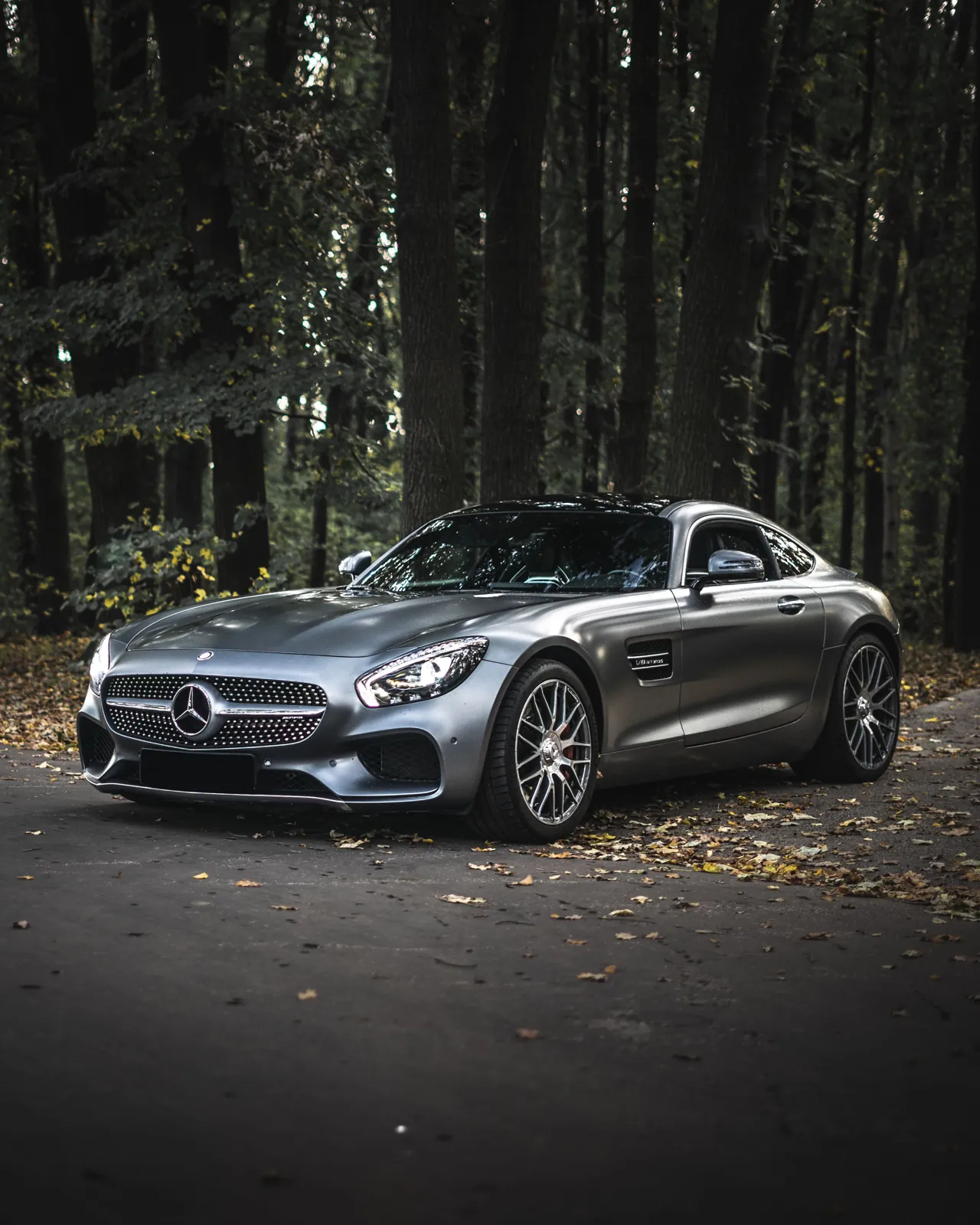 Carrington Prestige chauffeur