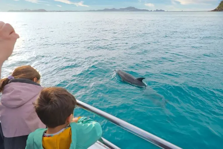 Waves and whale fluke at sea
